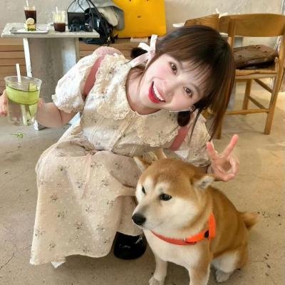 因为爱情很复杂